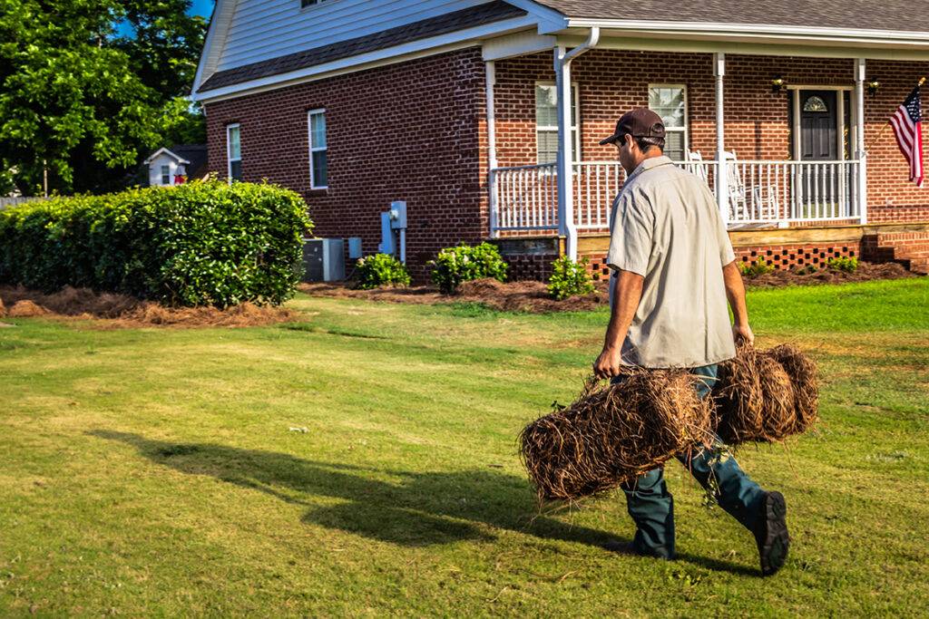 Benefits Of Putting Down Pine Straw